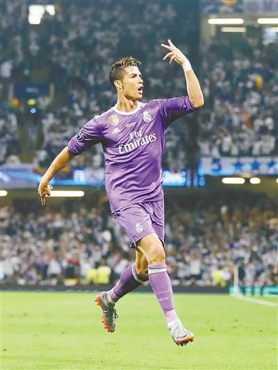 将有, 土鸡等为料 将有, 土鸡等为料