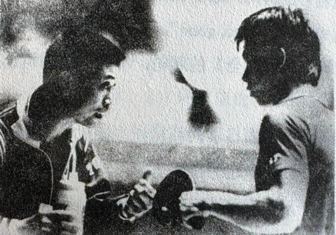 广泛认可 广泛认可